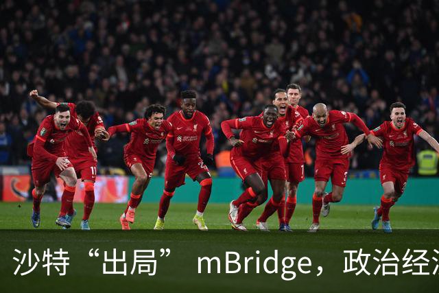 沙特“出局” mBridge，政治经济的背后有深意