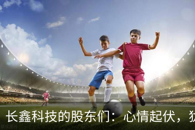 长鑫科技的股东们：心情起伏，犹如过山车的体验